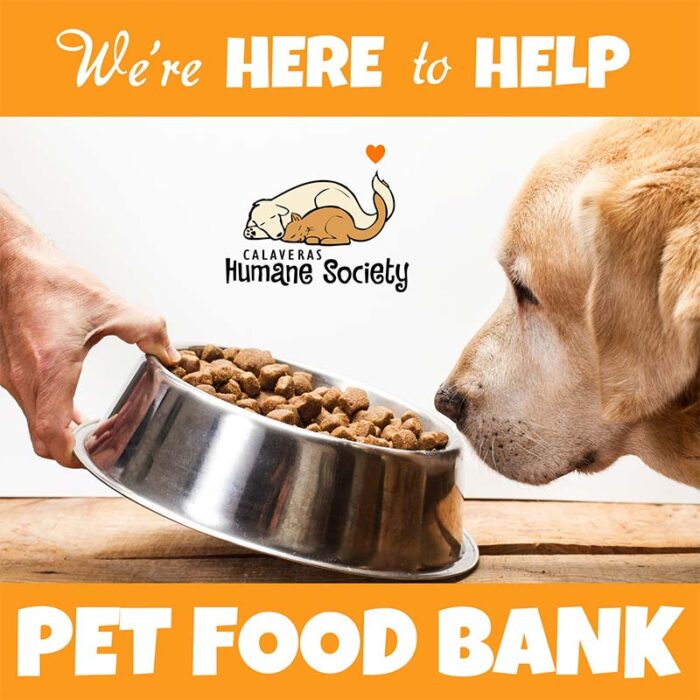 Pet Food Bank Is Here To Help Calaveras Humane Society