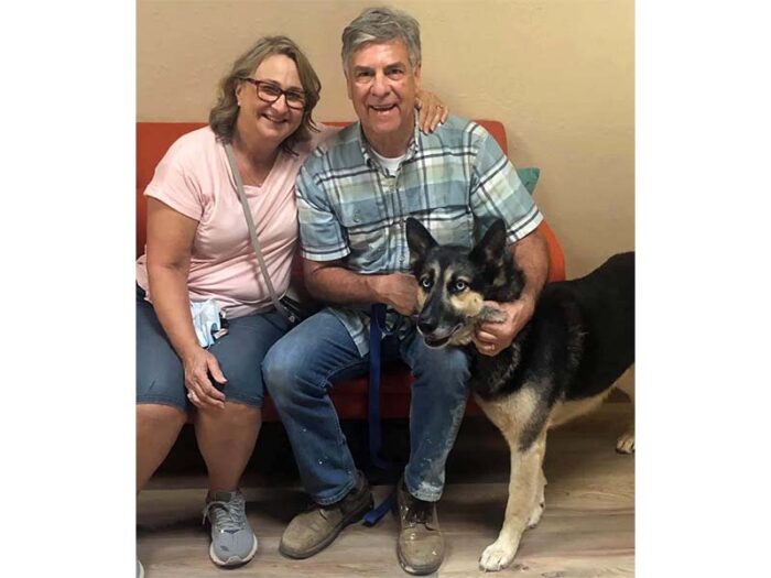 Cobalt dog adopted September 2020