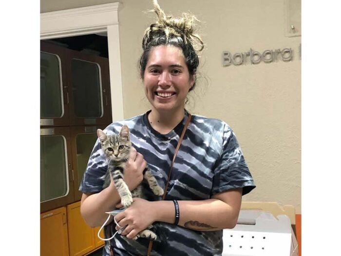Linus cat adopted October 2020