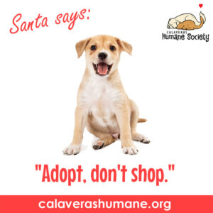 Santa says Adopt, Don't Shop!