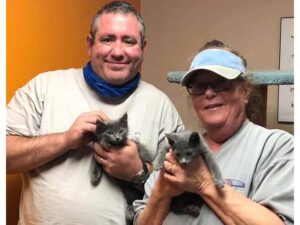 Cupid and Dancer cats adopted December 2020