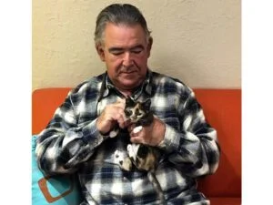 Diva cat adopted December 2020