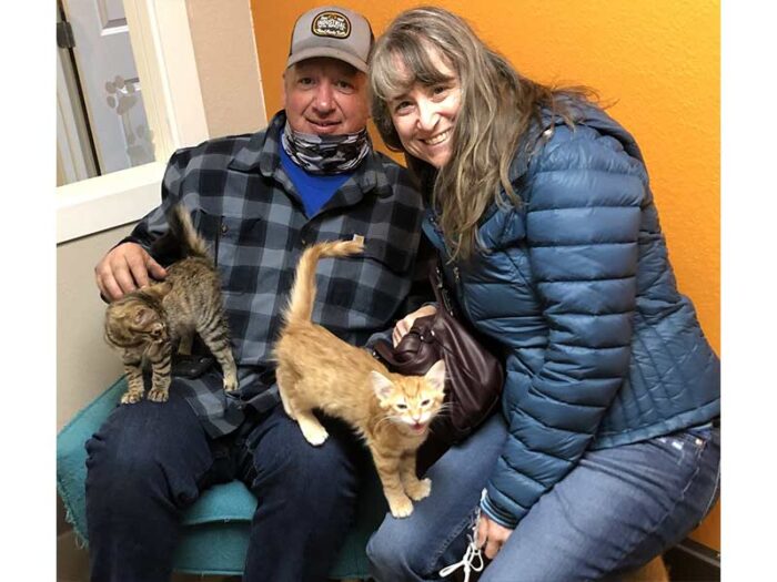 Ginger and Cayenne adopted December 2020
