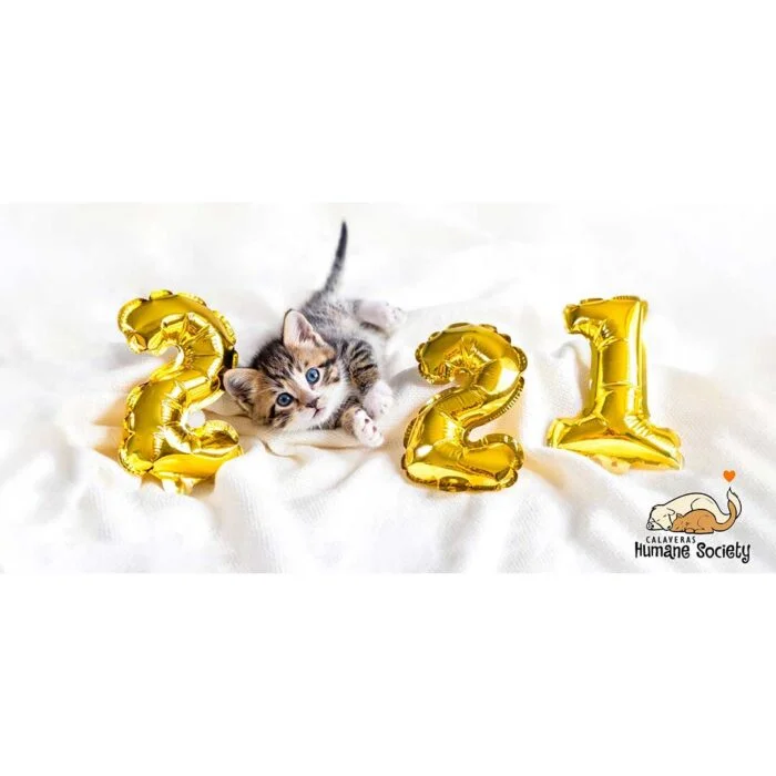 Going into 2021, help us help our community