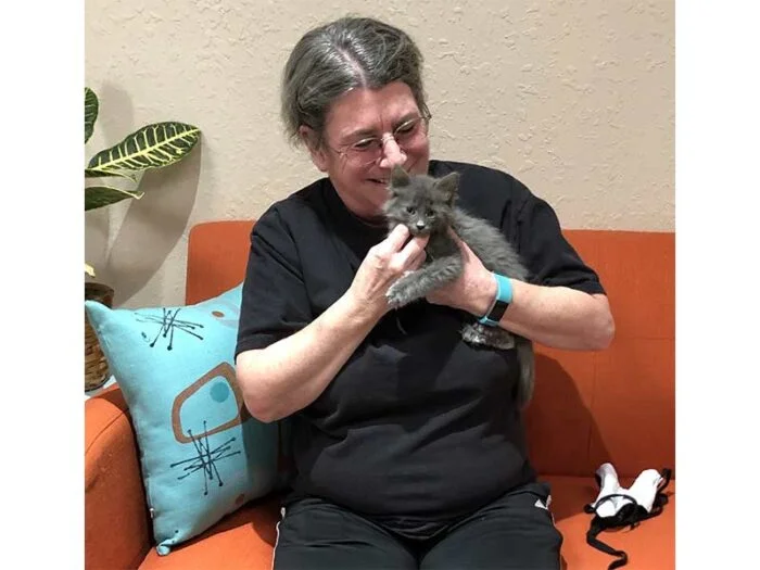 Ingot cat adopted October 2020