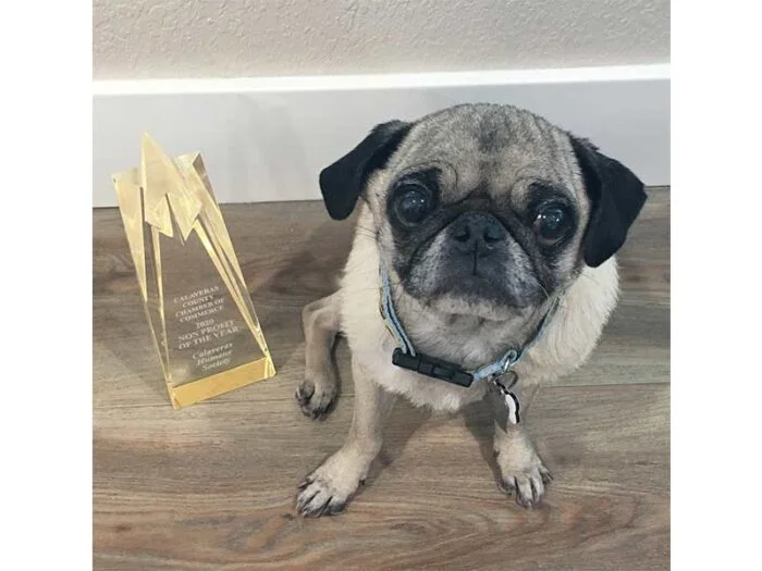 Remembering Ambassadog Marlee