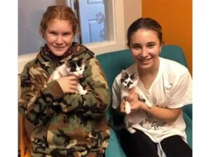 Mars and Orion cats adopted November 2020