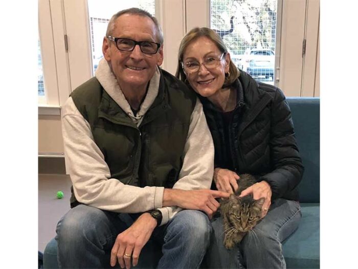 Tigger cat adopted December 2020