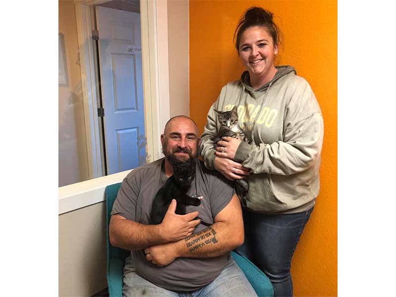 Buster and Joey cats adopted December 2020