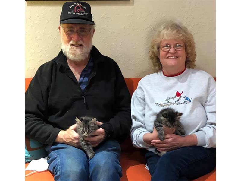 Senja and Chene cats adopted December 2020