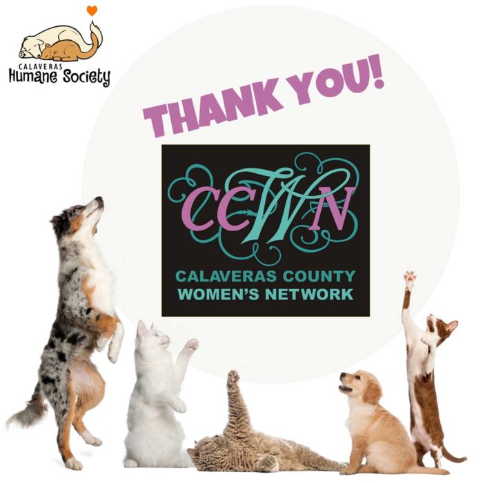 Thank you, Calaveras County Women's Network