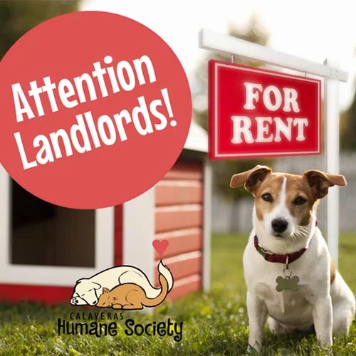 Attention Landlords