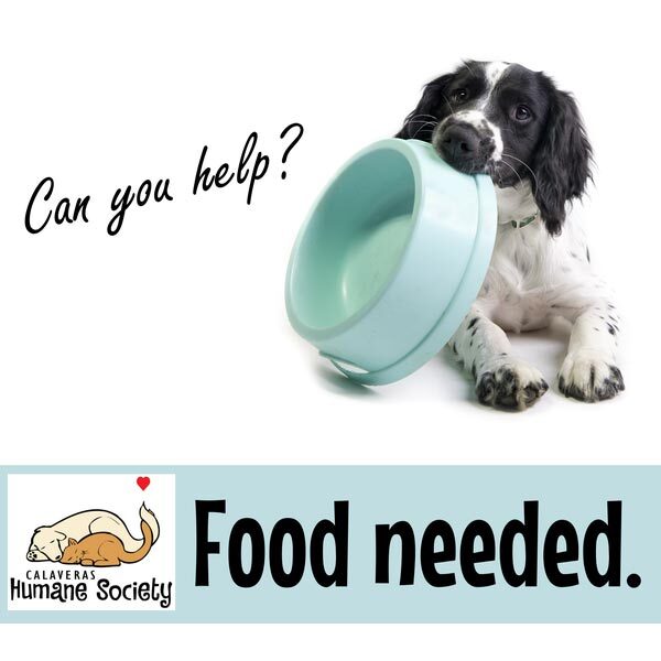 Pet Food Bank - Food Needed