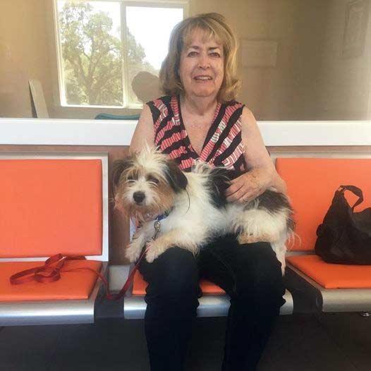 Benji dog adopted June 20 2019