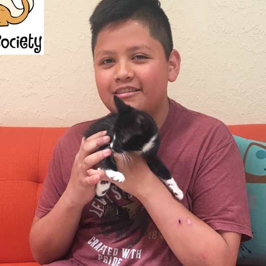 Captain cat adopted January 21 2019