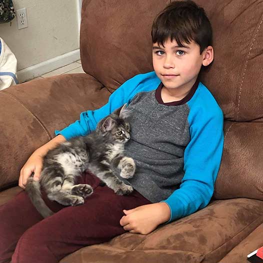 Fifi cat adopted June 9 2019