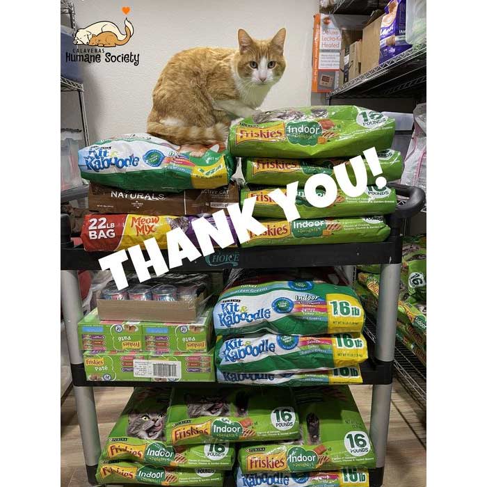 Thank you for your donations, from the kitties who use the Pet Food Bank
