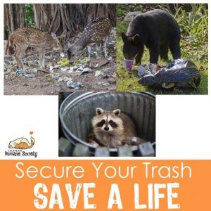 Secure your trash and save a life!