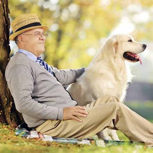 Senior citizen with his pet dog