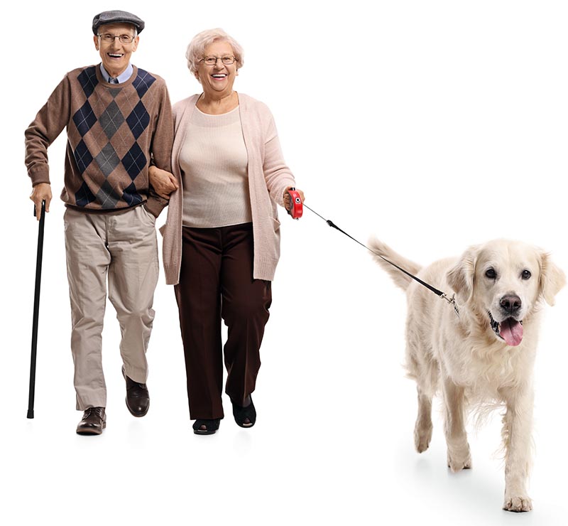 Veterinary Bill Assistance For Seniors
