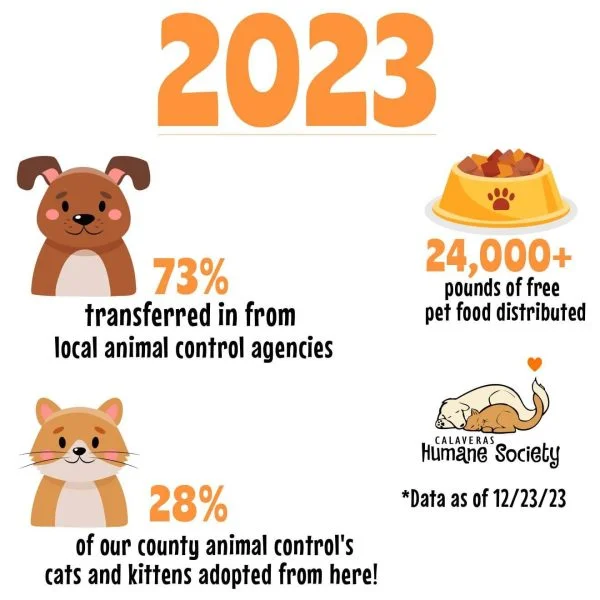 Cat Traps Needed - Calaveras Humane Society