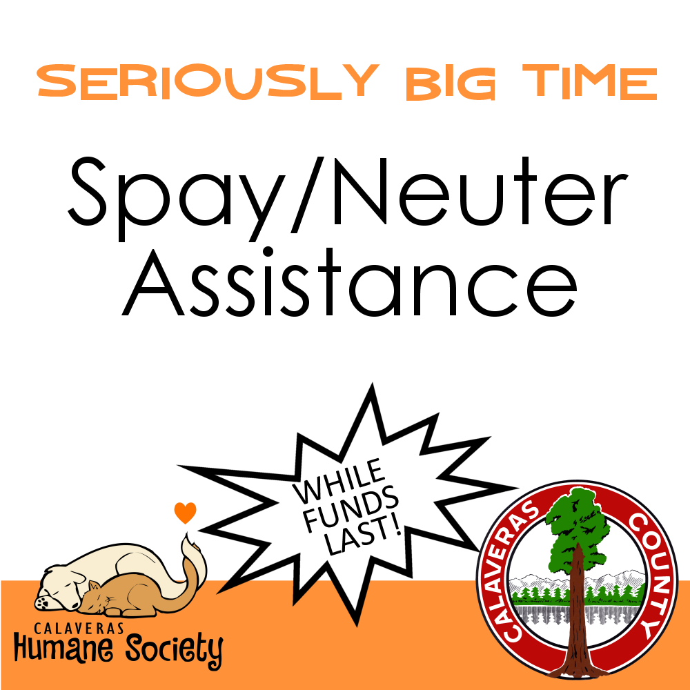 Spay Neuter Assistance Vouchers Calaveras Humane Society